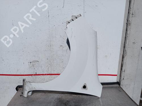 left-front-fenders-renault-kangoo-express-fw01_-2008-32502128 main image