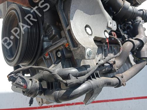 Engine SEAT TOLEDO IV (KG3) 1.6 TDI | BP36864496M1  - Image 10