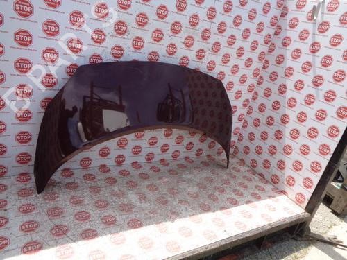 Panser RENAULT GRAND SCÉNIC II (JM0/1_) 1.5 dCi (JM02, JM13) (101 hp) 7624929