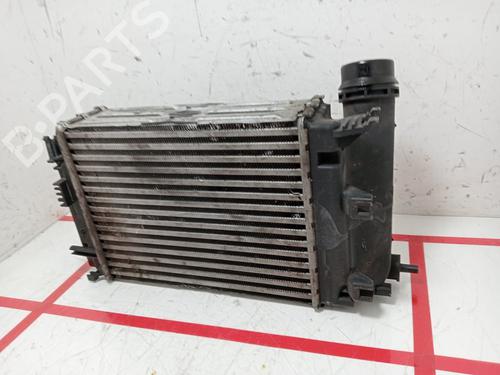 Intercooler NISSAN QASHQAI II (J11, J11_)  | BP24404644M30 