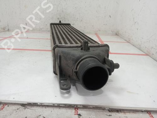 Intercooler FIAT DOBLO Cargo (263_) 1.3 D Multijet | BP27840199M30 