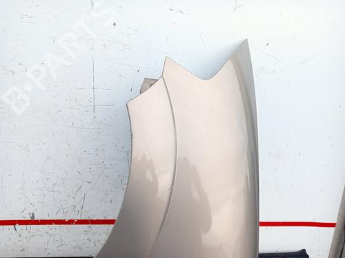 Left front fenders CITROËN C3 I (FC_, FN_) 1.4 i Bivalent | BP20303421C41 