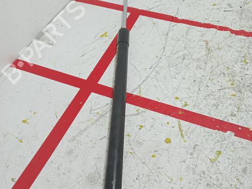 Used Hood lift support DACIA SANDERO II [2012-2025]  18489547