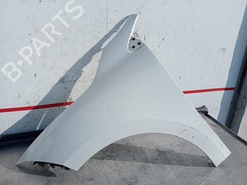 Left front fenders RENAULT MEGANE III Hatchback (BZ0/1_, B3_) 1.5 dCi | BP28078823C41 