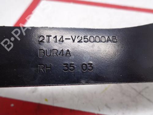 Hinge/Door check strap FORD TRANSIT CONNECT (P65_, P70_, P80_) 1.8 Di | BP15936675C146 