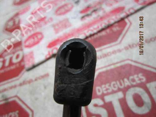 Hood lift support OPEL VECTRA C (Z02)  | BP15920594C139 