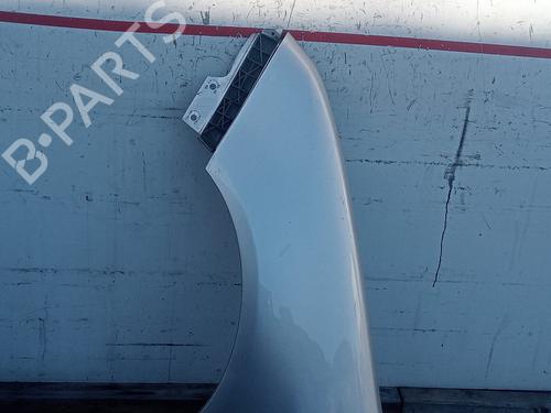 Left front fenders SKODA FABIA I Combi (6Y5) 1.9 SDI | BP22220384C41 