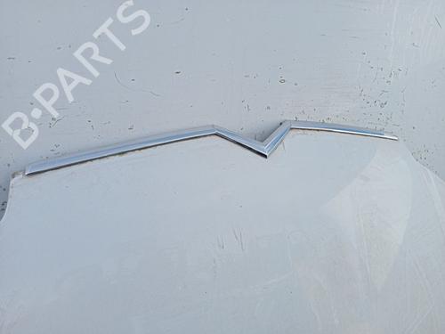 Hood CITROËN C5 II (RC_)  | BP22704641C1