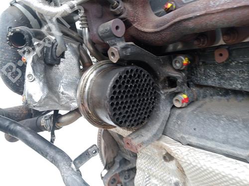 Engine SEAT LEON ST (5F8)  | BP36439211M1  - Image 14