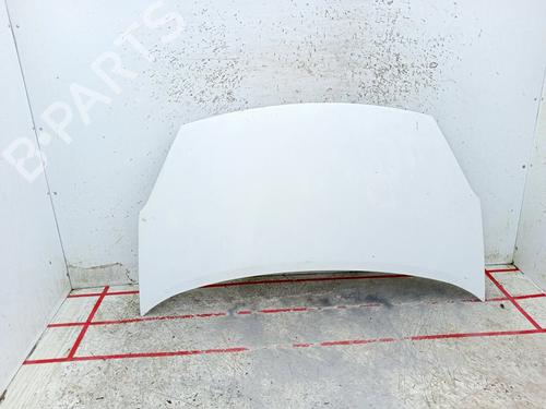 BP29480872C1 main image