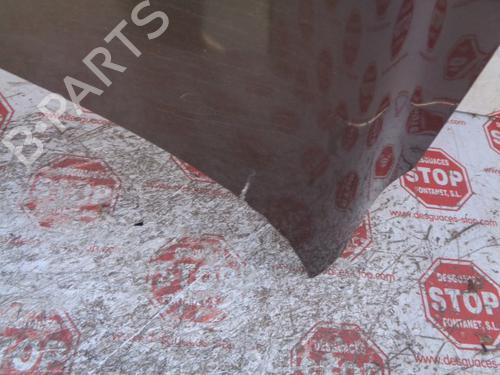 Hood RENAULT SCÉNIC III (JZ0/1_)  | BP8405931C1 