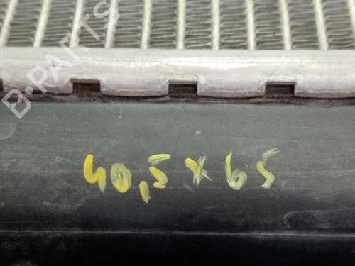 Water radiator SEAT ALTEA (5P1)  | BP18029615M31 