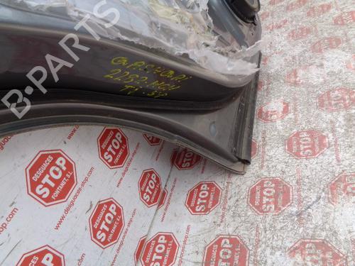 Left rear door NISSAN QASHQAI I (J10, NJ10)  | BP7624966C4 