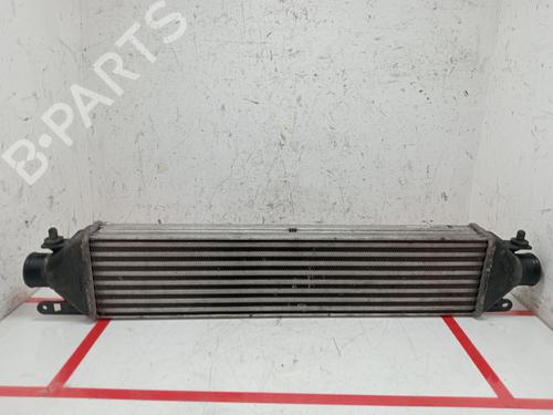 Used Intercooler FIAT DOBLO Cargo (263_) 1.3 D Multijet (90 hp) 27840199