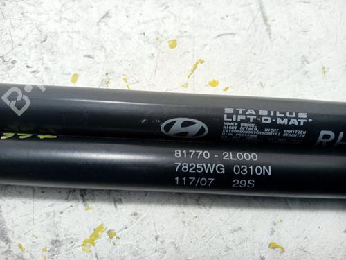 Tailgate lift support HYUNDAI i30 (FD)  | BP19535237C138
