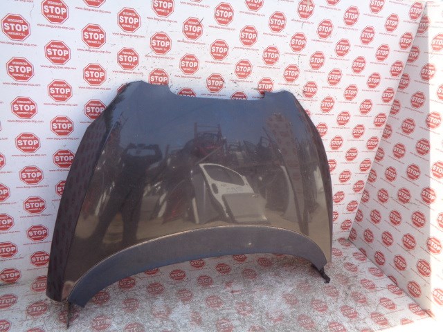 Hood SEAT TOLEDO III (5P2) 1.9 TDI 8138275 | B-Parts