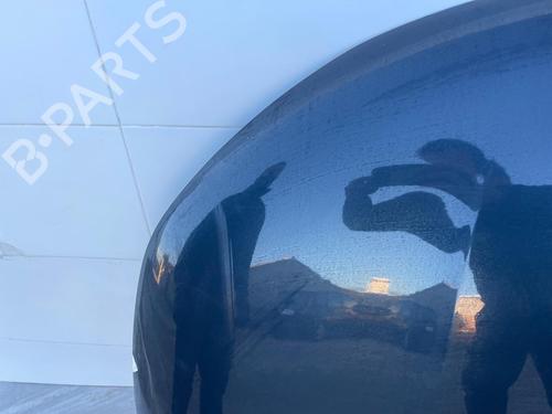 Hood CITROËN C4 II (NC_) | BP31117919C1