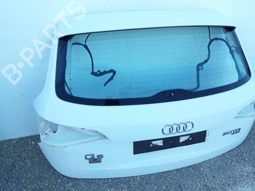Tailgate AUDI Q5 (8RB) 2.0 TDI quattro | BP10194409C6 