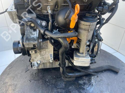 Engine SEAT IBIZA III (6L1)  | BP31177614M1 