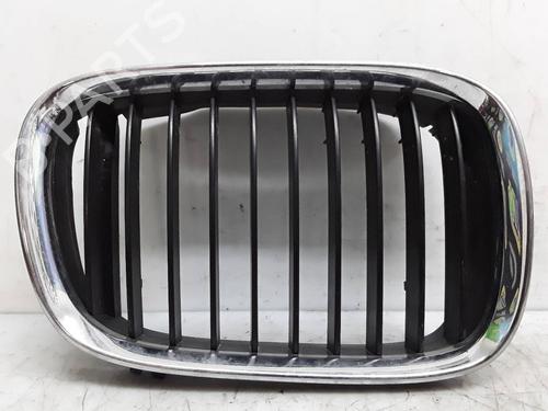 Used Grille BMW 5 (E39) 528 i (193 hp) 14142938