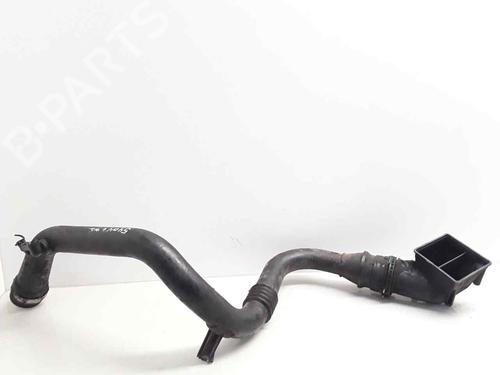 Used Pipe RENAULT SCÉNIC III (JZ0/1_) [2008-2016]  19787872