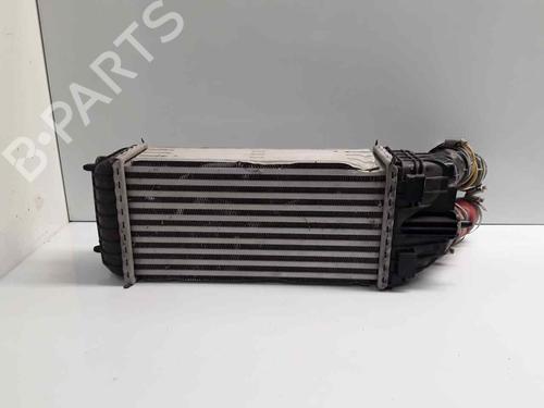Intercooler CITROËN C3 AIRCROSS II (2R_, 2C_) | BP30136639M30