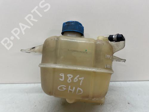 Used Expansion tank FIAT FIORINO Box Body/MPV (225_) 1.3 D Multijet (225BXD1A, 225BXB1A, 225BXB11) (75 hp) 28503323