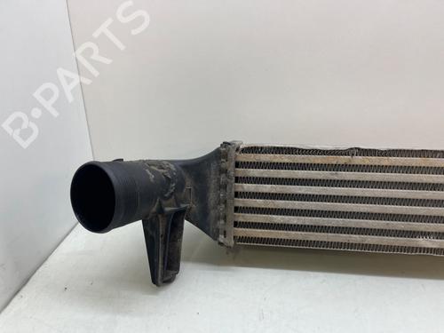 Intercooler SEAT IBIZA IV (6J5, 6P1)  | BP22334225M30 