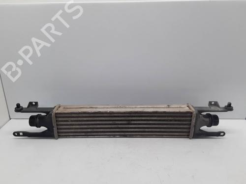 Intercooler Intercooler OPEL CORSA D (S07) [2006-2015] 36233713 36233713