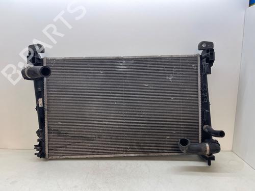 Used Water radiator FIAT BRAVO II (198_) 1.4 (198AXA1B) (90 hp) 29232793