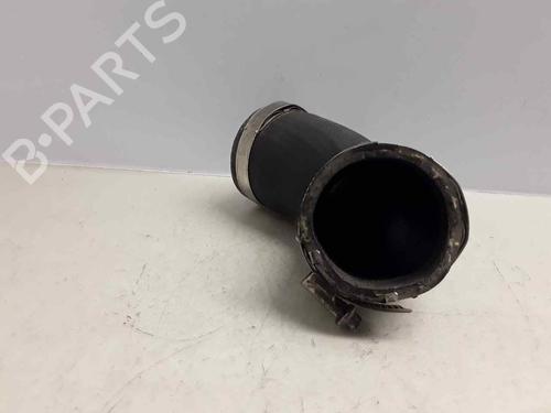 Pipe VW PASSAT B7 (362) 2.0 TDI | BP17313666M125 