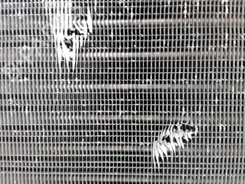 Intercooler FIAT CROMA (194_) 1.9 D Multijet (194AXB1B) | BP9711645M30 