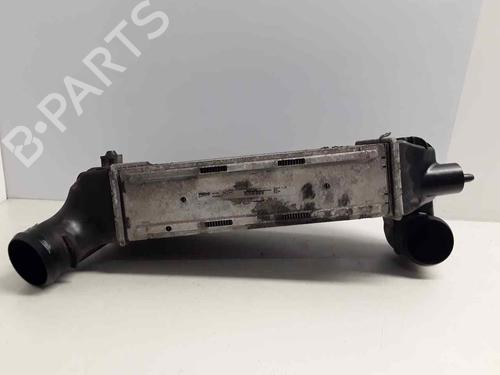 Oil radiator CITROËN C4 Picasso I MPV (UD_) 2.0 HDi 138 | BP16343127M33 