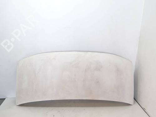Used Hood RENAULT MASTER II Van (FD) 2.2 dCI 90 (90 hp) 10196179
