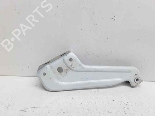 Hinge/Door check strap DACIA DOKKER MPV (KE_)  | BP21132145C146 