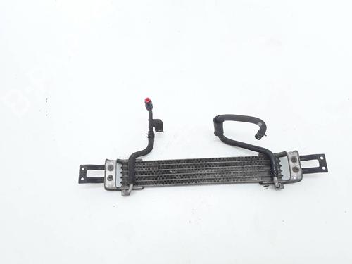 Used Oil radiator NISSAN X-TRAIL I (T30) 2.2 DCi FWD (114 hp) 9855562