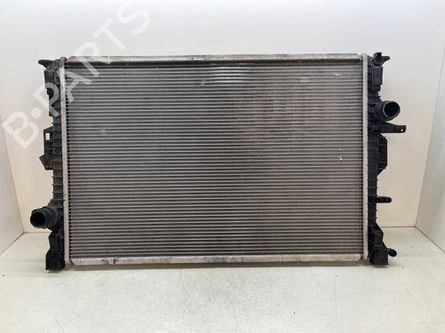Water radiator FORD S-MAX (WA6)  | BP26890395M31 
