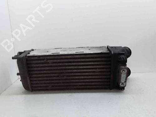 Intercooler PEUGEOT PARTNER Tepee  | BP25252754M30 