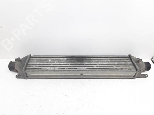 Intercooler FIAT DOBLO Platform/Chassis (263_) 1.3 D Multijet | BP16331992M30 