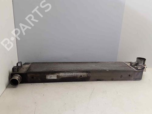Intercooler RENAULT MEGANE II (BM0/1_, CM0/1_) 2.0 dCi (BM1K, CM1K) | BP18142247M30 