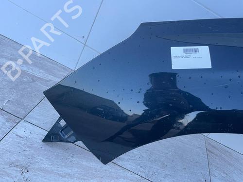Left front fenders CITROËN C4 II (NC_) | BP31117917C41