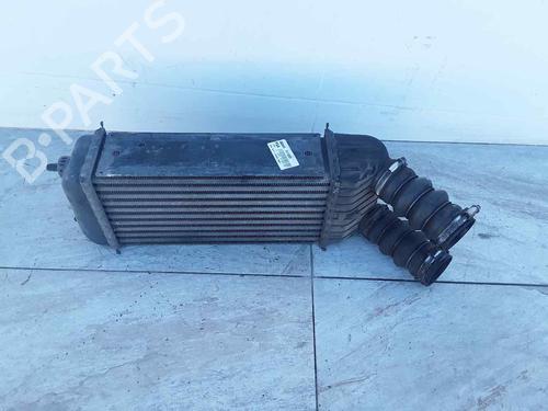 Ladeluftkühler für PEUGEOT 207 (WA_, WC_) [2006-2015]  23534682