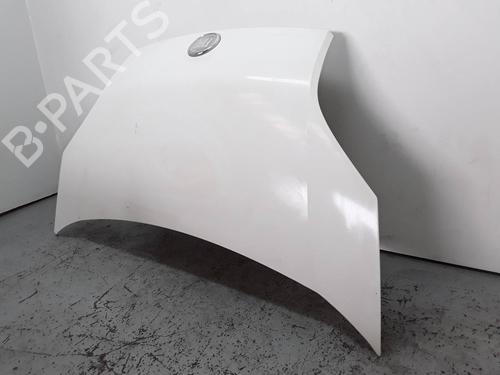Hood FIAT FIORINO Box Body/MPV (225_) 1.3 D Multijet (225BXD1A, 225BXB1A, 225BXB11) | BP8215953C1 