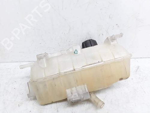 Expansion tank RENAULT KANGOO Express (FW0/1_)  | BP8303543C120 