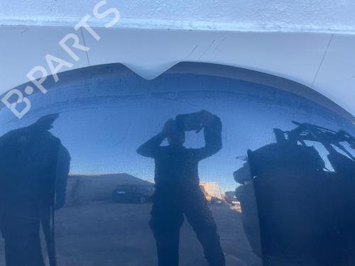 Hood CITROËN C4 II (NC_) | BP31117919C1