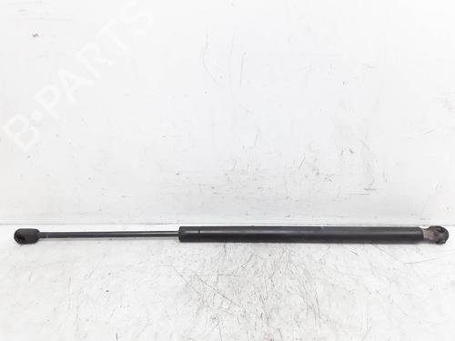 Used Tailgate lift support RENAULT SCÉNIC II (JM0/1_) 1.9 dCi (JM0G, JM12, JM1G, JM2C) (120 hp) 14142952