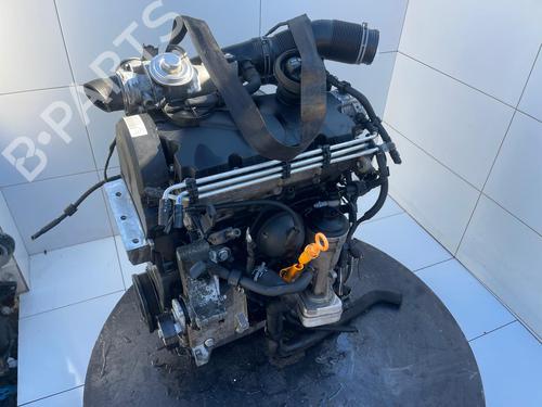 Used Engine SEAT IBIZA III (6L1) [2002-2009]  31177614