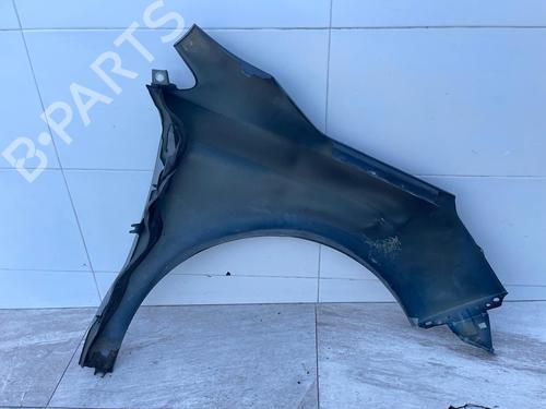 Left front fenders CITROËN C4 II (NC_) | BP31117917C41