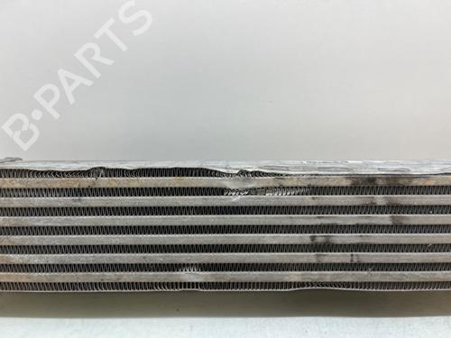 Intercooler SEAT IBIZA IV (6J5, 6P1)  | BP22334225M30 