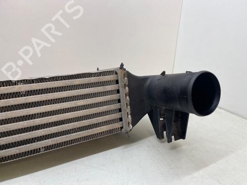 Intercooler SEAT IBIZA IV (6J5, 6P1)  | BP22334225M30 